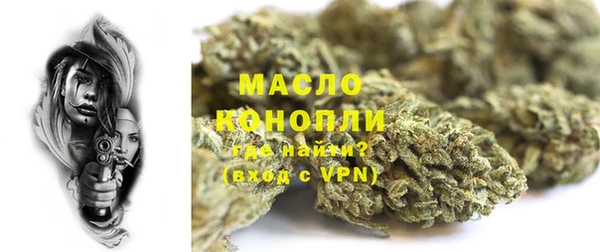шишки Аркадак