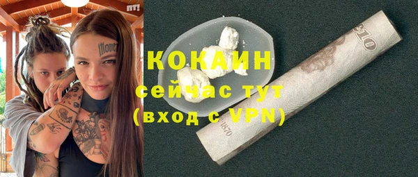 шишки Аркадак