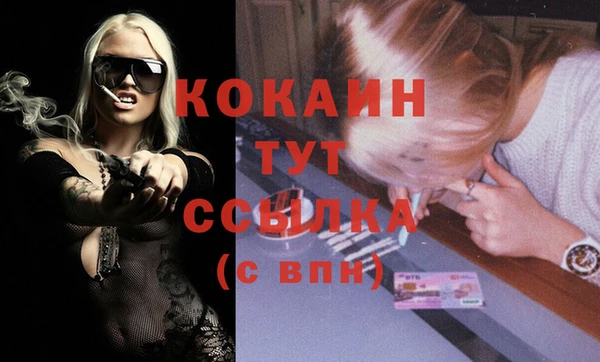 дживик Арсеньев