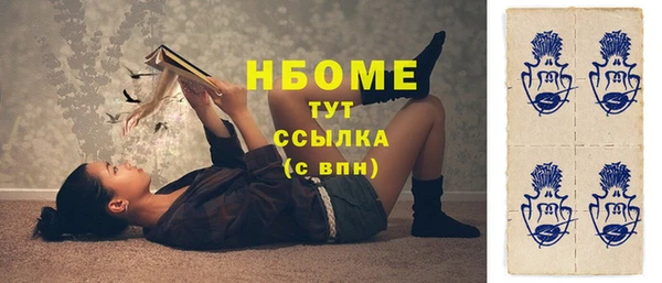 шишки Аркадак