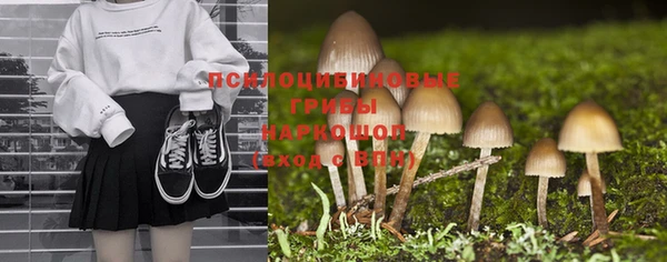 дживик Арсеньев