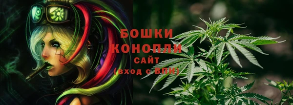 дживик Арсеньев
