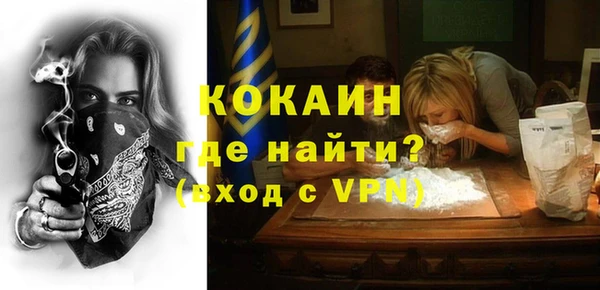 шишки Аркадак