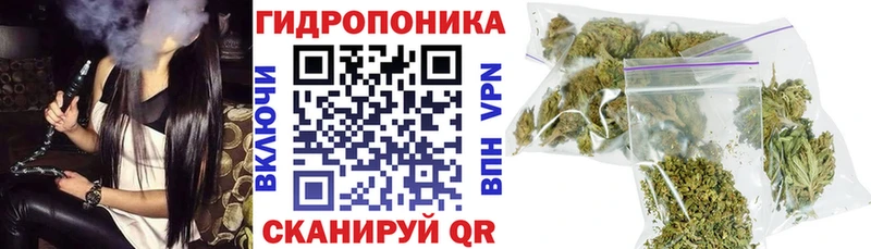 Каннабис SATIVA & INDICA Кола